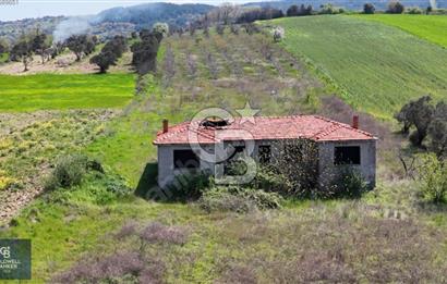 ÇANAKKALE LAPSEKİ BOĞAZ MANZARALI YOLA CEPHELİ SATILIK TARLA