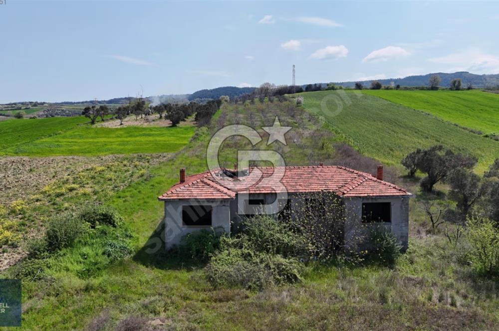 ÇANAKKALE LAPSEKİ BOĞAZ MANZARALI YOLA CEPHELİ SATILIK TARLA