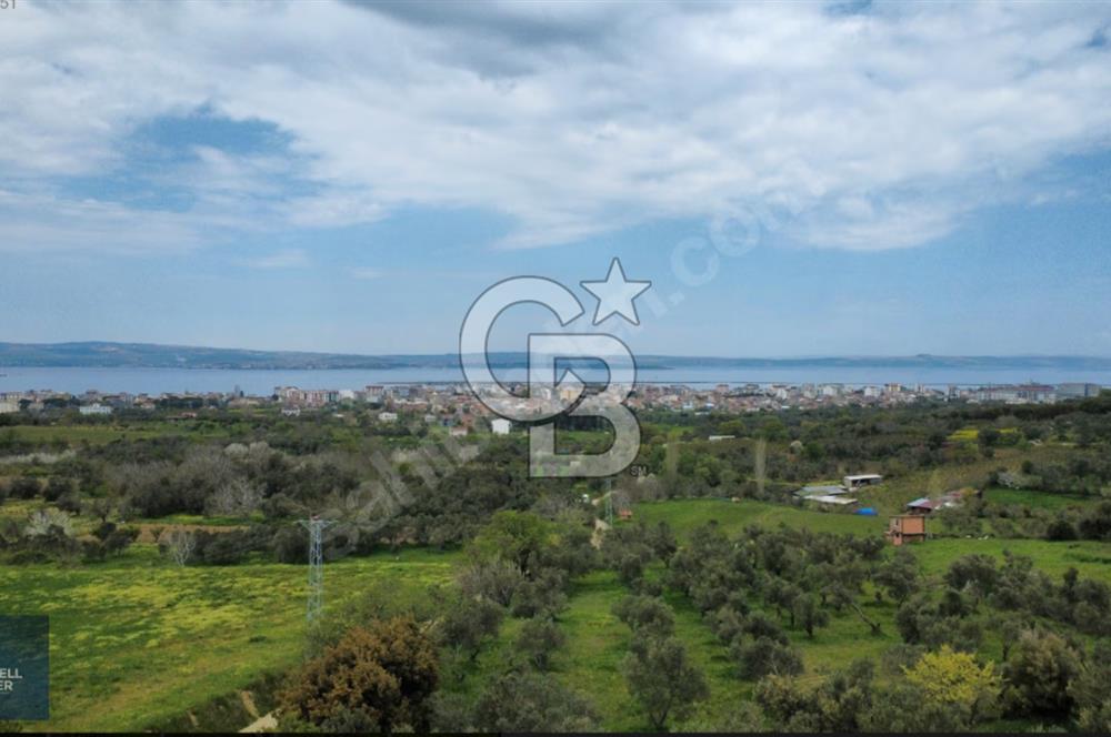 ÇANAKKALE LAPSEKİ BOĞAZ MANZARALI YOLA CEPHELİ SATILIK TARLA