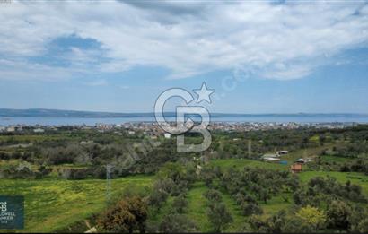 ÇANAKKALE LAPSEKİ BOĞAZ MANZARALI YOLA CEPHELİ SATILIK TARLA