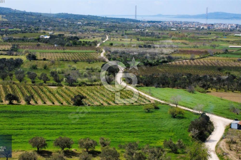 ÇANAKKALE LAPSEKİ BOĞAZ MANZARALI YOLA CEPHELİ SATILIK TARLA
