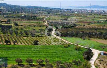 ÇANAKKALE LAPSEKİ BOĞAZ MANZARALI YOLA CEPHELİ SATILIK TARLA