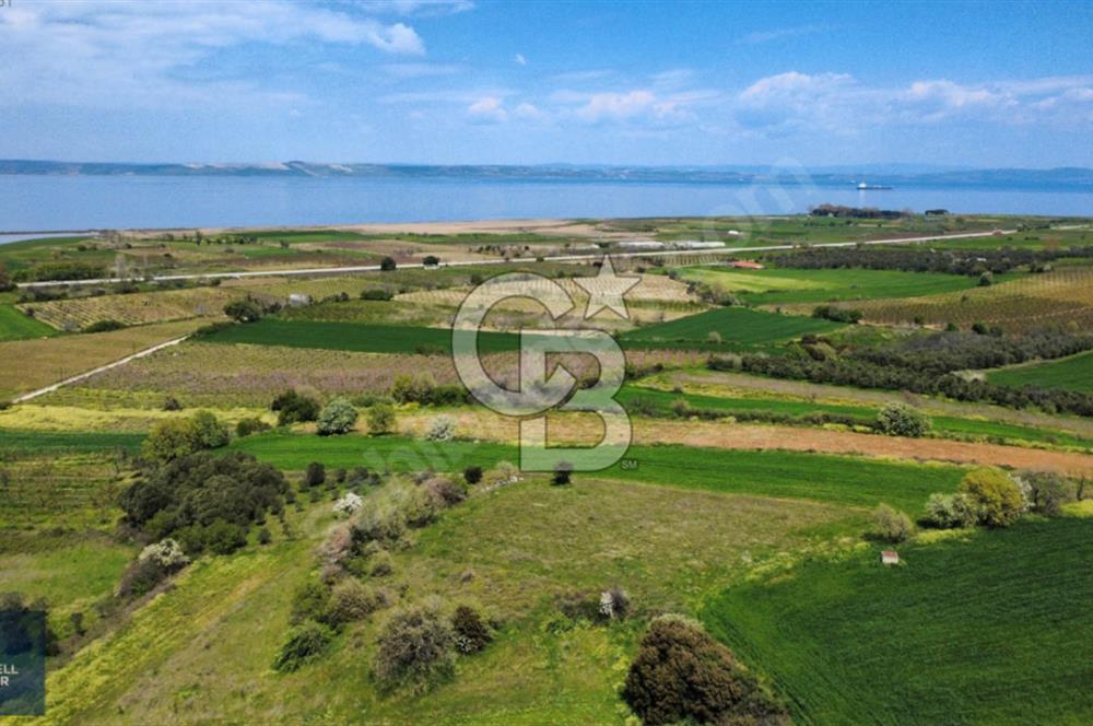 ÇANAKKALE LAPSEKİ BOĞAZ MANZARALI YOLA CEPHELİ SATILIK TARLA