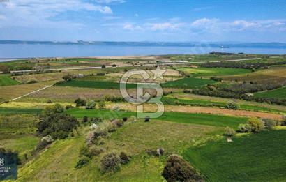 ÇANAKKALE LAPSEKİ BOĞAZ MANZARALI YOLA CEPHELİ SATILIK TARLA