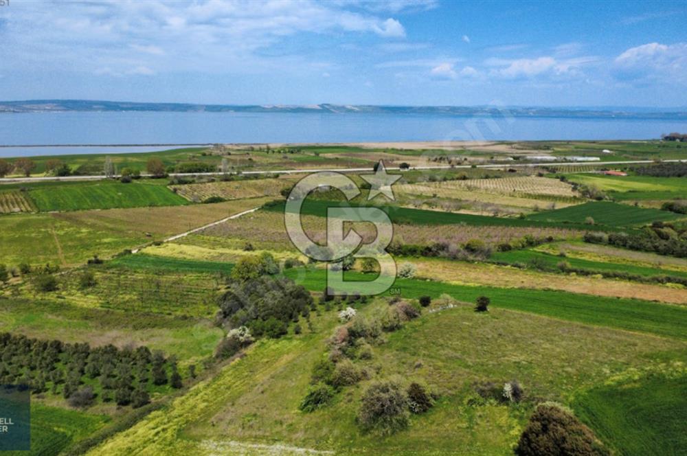 ÇANAKKALE LAPSEKİ BOĞAZ MANZARALI YOLA CEPHELİ SATILIK TARLA