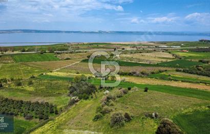 ÇANAKKALE LAPSEKİ BOĞAZ MANZARALI YOLA CEPHELİ SATILIK TARLA