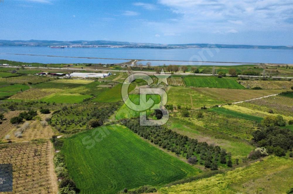 ÇANAKKALE LAPSEKİ BOĞAZ MANZARALI YOLA CEPHELİ SATILIK TARLA