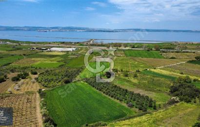 ÇANAKKALE LAPSEKİ BOĞAZ MANZARALI YOLA CEPHELİ SATILIK TARLA