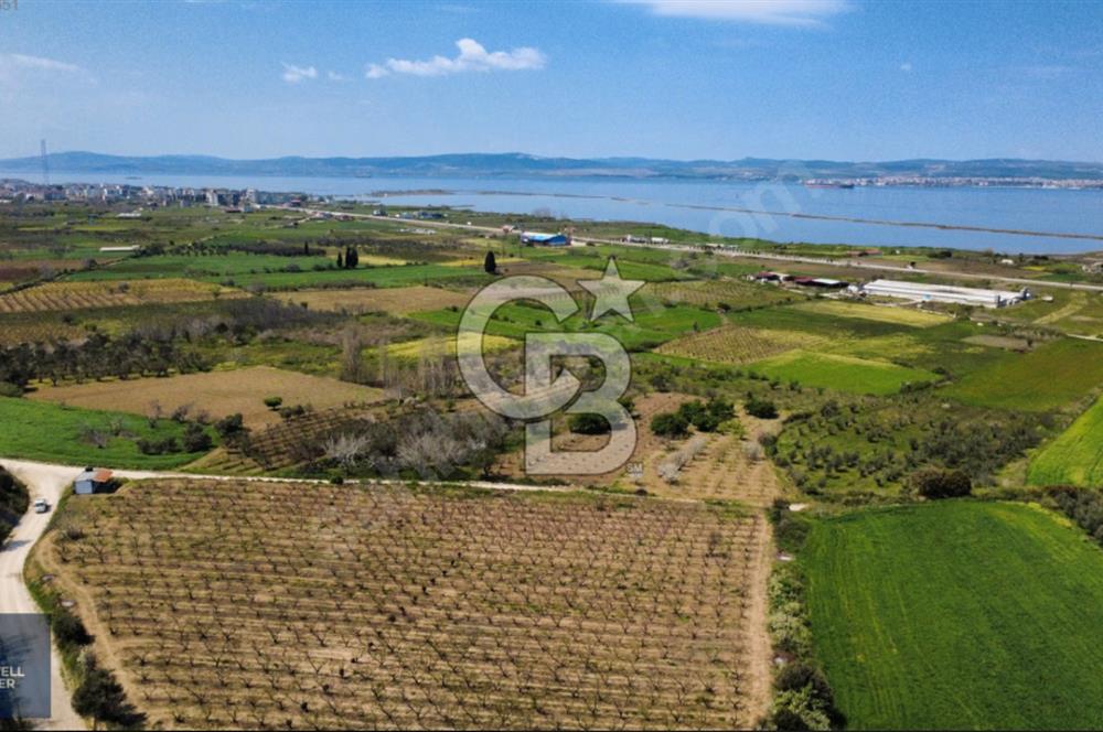 ÇANAKKALE LAPSEKİ BOĞAZ MANZARALI YOLA CEPHELİ SATILIK TARLA