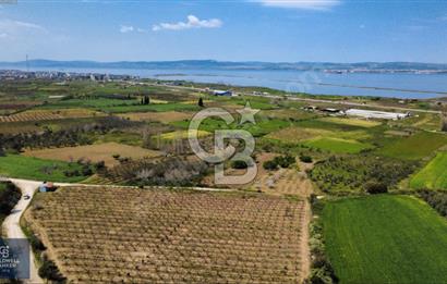 ÇANAKKALE LAPSEKİ BOĞAZ MANZARALI YOLA CEPHELİ SATILIK TARLA