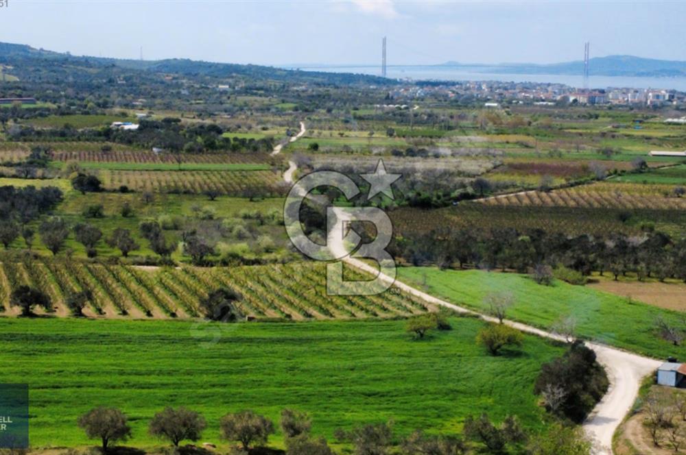 ÇANAKKALE LAPSEKİ BOĞAZ MANZARALI YOLA CEPHELİ SATILIK TARLA