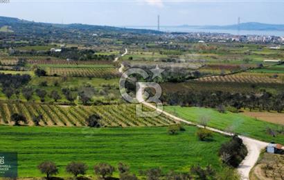 ÇANAKKALE LAPSEKİ BOĞAZ MANZARALI YOLA CEPHELİ SATILIK TARLA