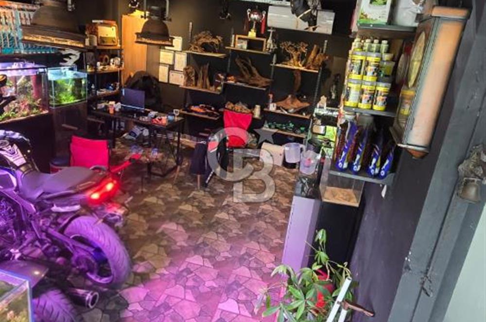 ÜSKÜDAR DOĞANCILARDA DEPOLU, ÇOK AMAÇLI 325 M² DÜKKAN