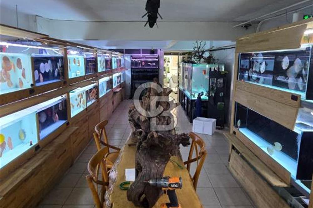 ÜSKÜDAR DOĞANCILARDA DEPOLU, ÇOK AMAÇLI 325 M² DÜKKAN