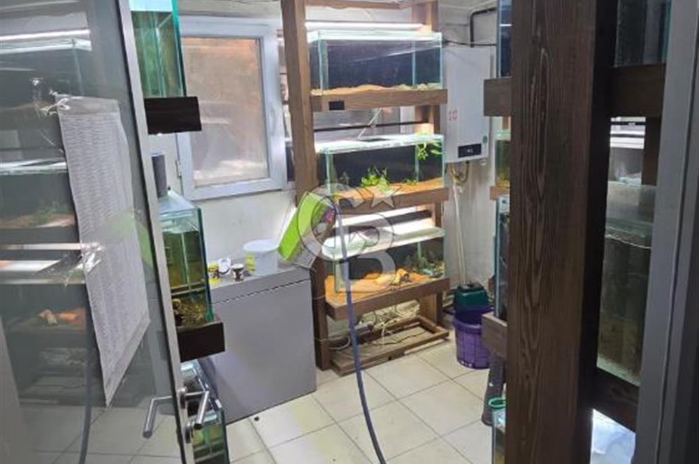 ÜSKÜDAR DOĞANCILARDA DEPOLU, ÇOK AMAÇLI 325 M² DÜKKAN