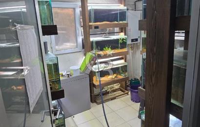 ÜSKÜDAR DOĞANCILARDA DEPOLU, ÇOK AMAÇLI 325 M² DÜKKAN