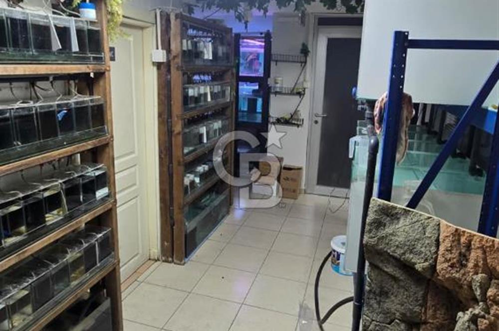 ÜSKÜDAR DOĞANCILARDA DEPOLU, ÇOK AMAÇLI 325 M² DÜKKAN