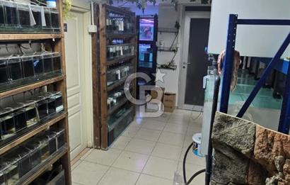 ÜSKÜDAR DOĞANCILARDA DEPOLU, ÇOK AMAÇLI 325 M² DÜKKAN