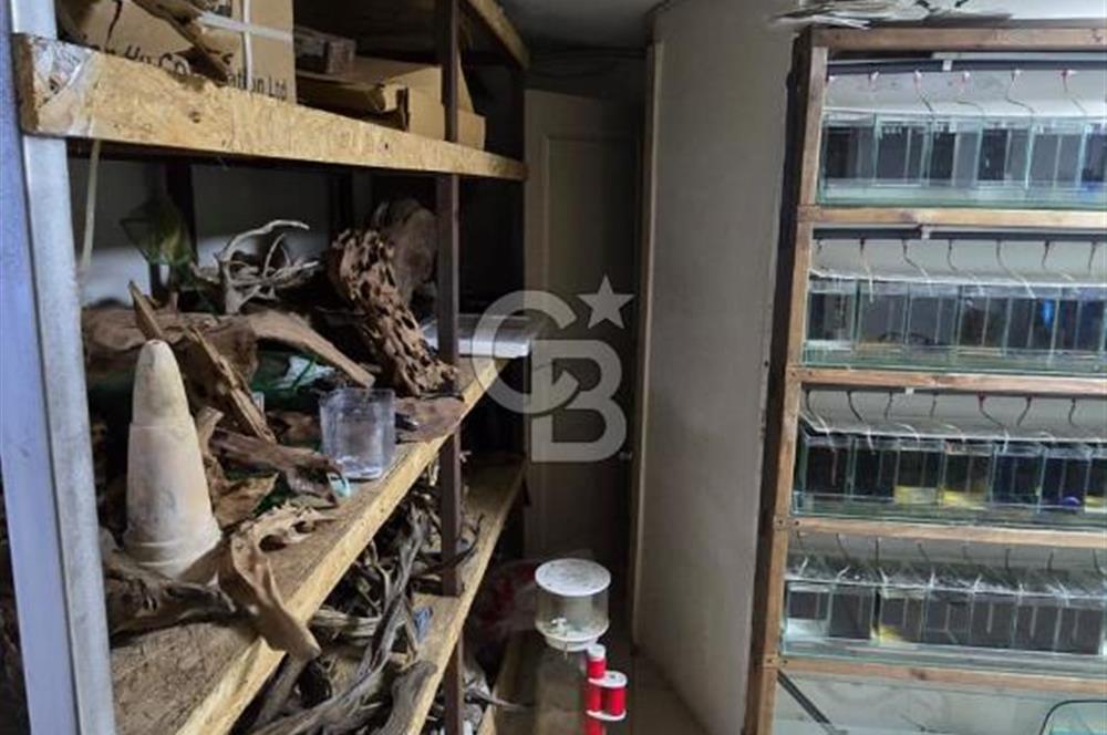 ÜSKÜDAR DOĞANCILARDA DEPOLU, ÇOK AMAÇLI 325 M² DÜKKAN