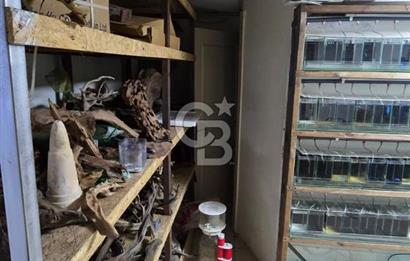 ÜSKÜDAR DOĞANCILARDA DEPOLU, ÇOK AMAÇLI 325 M² DÜKKAN