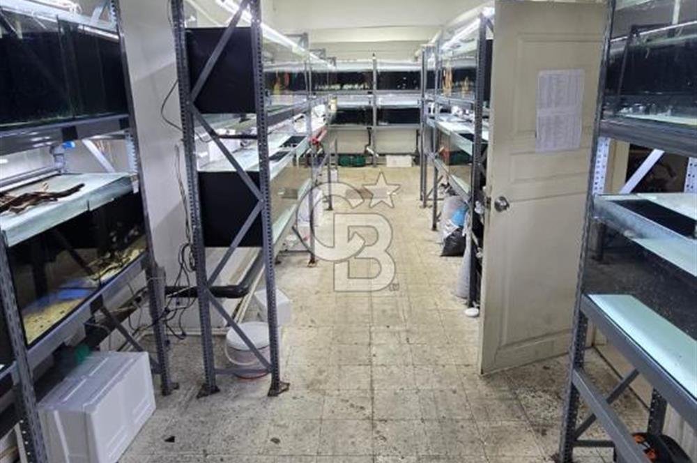 ÜSKÜDAR DOĞANCILARDA DEPOLU, ÇOK AMAÇLI 325 M² DÜKKAN