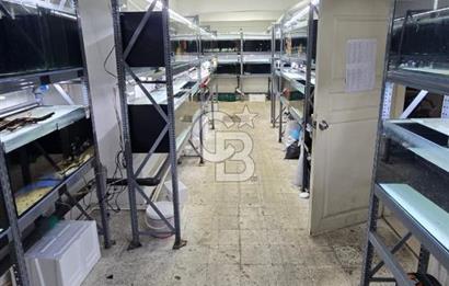 ÜSKÜDAR DOĞANCILARDA DEPOLU, ÇOK AMAÇLI 325 M² DÜKKAN