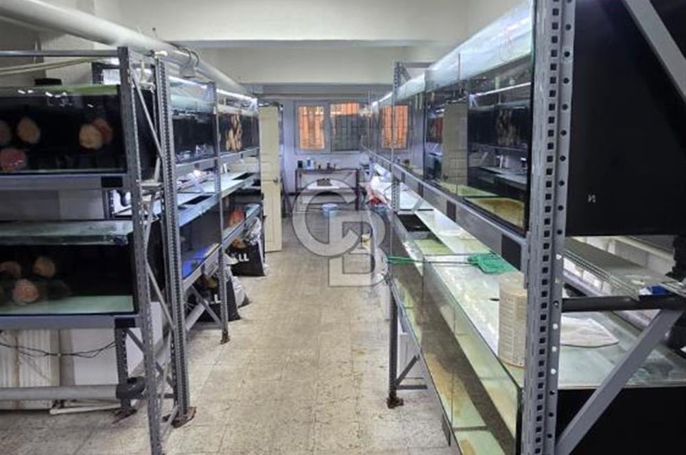 ÜSKÜDAR DOĞANCILARDA DEPOLU, ÇOK AMAÇLI 325 M² DÜKKAN