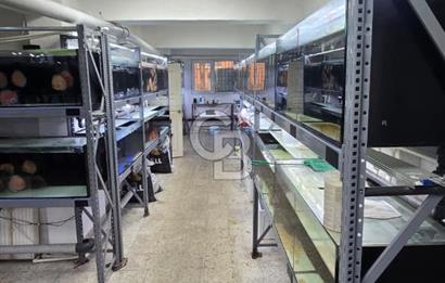 ÜSKÜDAR DOĞANCILARDA DEPOLU, ÇOK AMAÇLI 325 M² DÜKKAN
