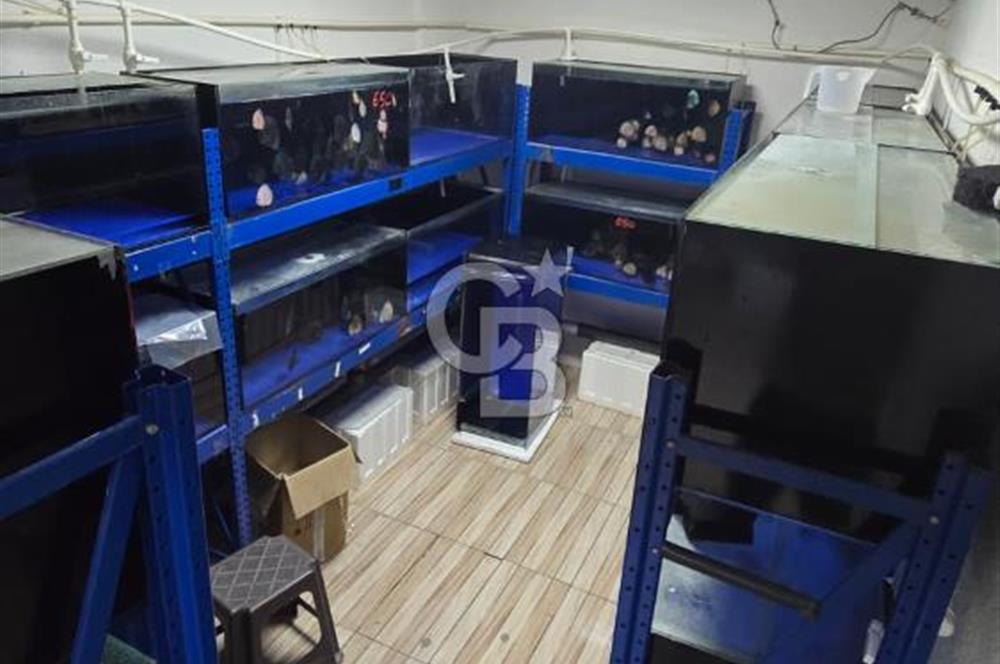 ÜSKÜDAR DOĞANCILARDA DEPOLU, ÇOK AMAÇLI 325 M² DÜKKAN