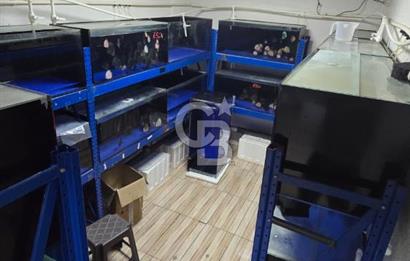 ÜSKÜDAR DOĞANCILARDA DEPOLU, ÇOK AMAÇLI 325 M² DÜKKAN