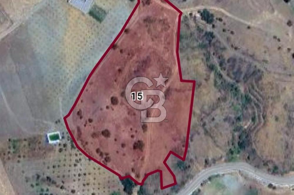 Akhisar Göcek 20.000 m² Büyük Parsel Satılık Tarla