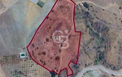 Akhisar Göcek 20.000 m² Büyük Parsel Satılık Tarla