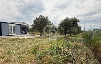 Saruhanlı Sarıçam'da yola sıfır 11000 M² Satılık Zeytinlik