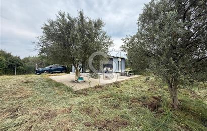 Saruhanlı Sarıçam'da yola sıfır 11000 M² Satılık Zeytinlik