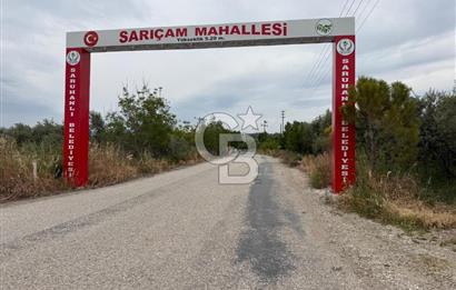 Saruhanlı Sarıçam'da yola sıfır 11000 M² Satılık Zeytinlik