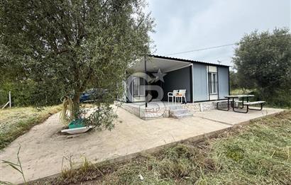 Saruhanlı Sarıçam'da yola sıfır 11000 M² Satılık Zeytinlik