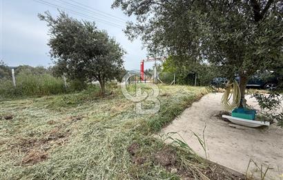 Saruhanlı Sarıçam'da yola sıfır 11000 M² Satılık Zeytinlik