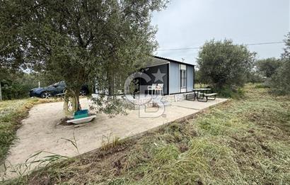 Saruhanlı Sarıçam'da yola sıfır 11000 M² Satılık Zeytinlik