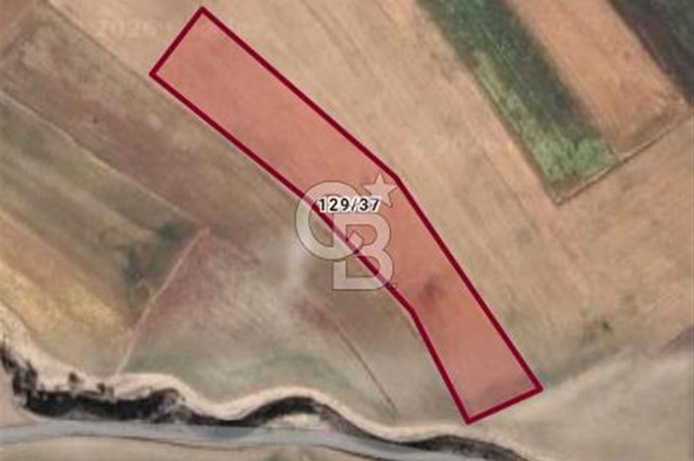 Satılık Tek Tapu Kök Tapu TAI-TUSAŞ'a Yakın Arazi