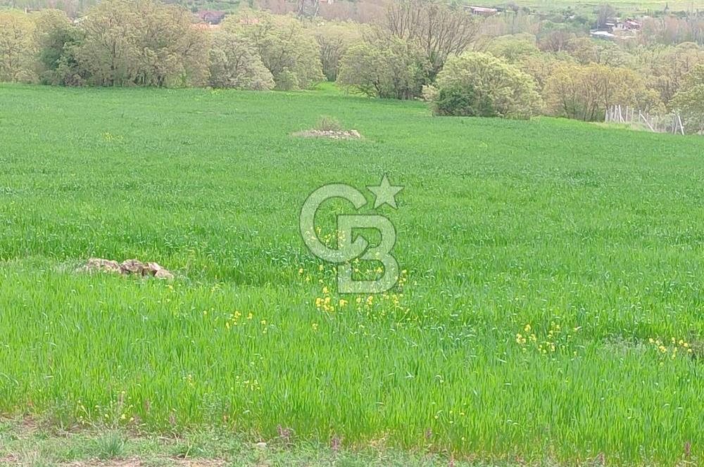 ELMADAĞ'DA 20.200 M2 DOĞA İLE İÇİÇE YATIRIMLIK ARSA