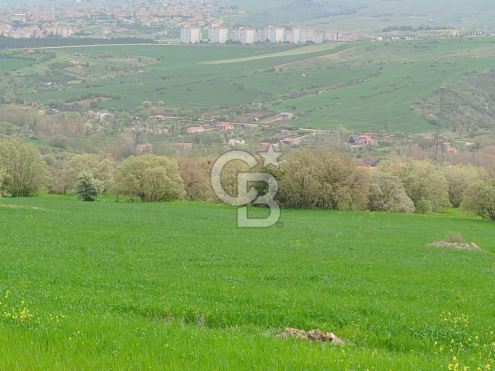 ELMADAĞ'DA 20.200 M2 DOĞA İLE İÇİÇE YATIRIMLIK ARSA