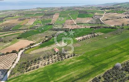 ÇANAKKALE LAPSEKİ BOĞAZ MANZARALI YOLA CEPHELİ SATILIK TARLA