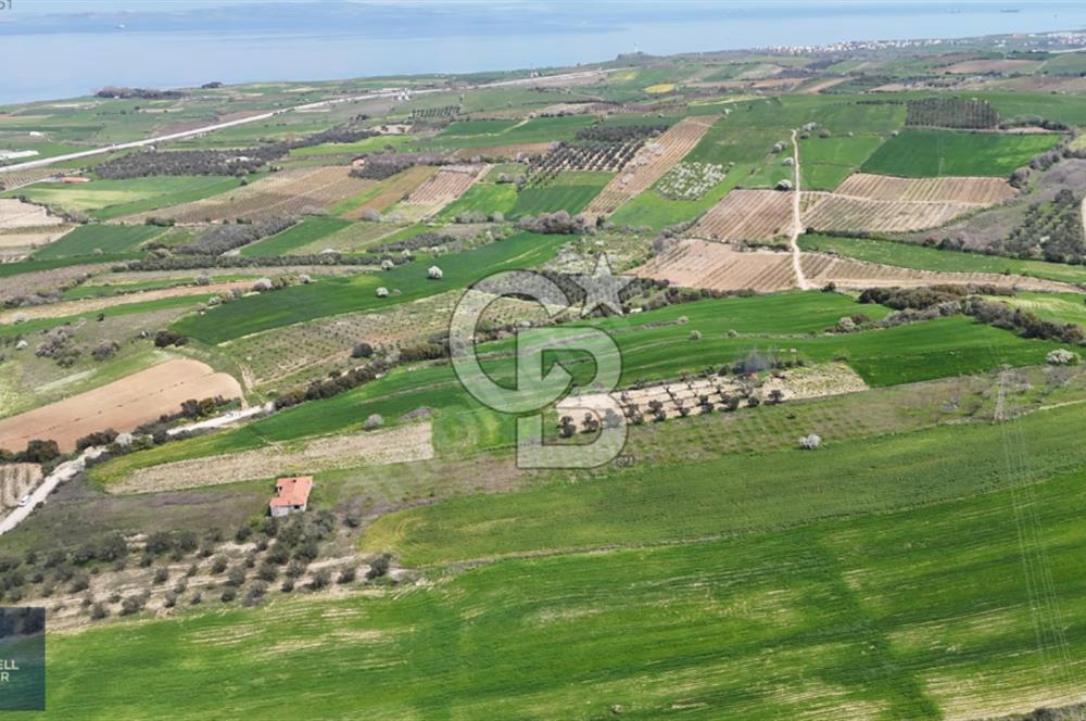 ÇANAKKALE LAPSEKİ BOĞAZ MANZARALI YOLA CEPHELİ SATILIK TARLA