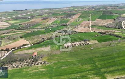 ÇANAKKALE LAPSEKİ BOĞAZ MANZARALI YOLA CEPHELİ SATILIK TARLA