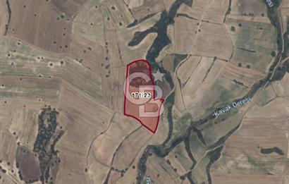 KIRKLARELİ KIZILCEKDERE MEVKİİNDE 28.000 M2 YATIRIMLIK TARLA