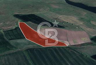 CB Leader'dan Balıkesir Şamlı'da  Verimli Tarla - 5 - 348967