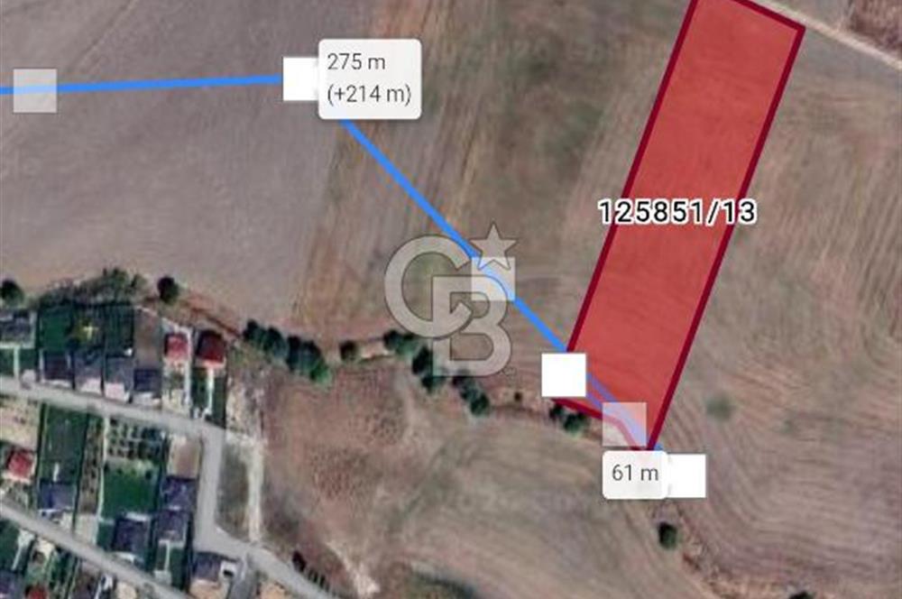 GÖLBAŞI YAVRUCUK MAHALLESİNDE TEK TAPOU 7491 M2 SATILIK TARLA
