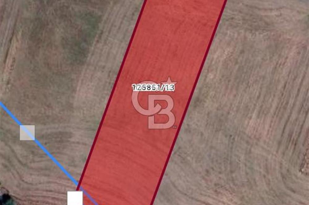 GÖLBAŞI YAVRUCUK MAHALLESİNDE TEK TAPOU 7491 M2 SATILIK TARLA