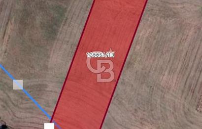 GÖLBAŞI YAVRUCUK MAHALLESİNDE TEK TAPOU 7491 M2 SATILIK TARLA