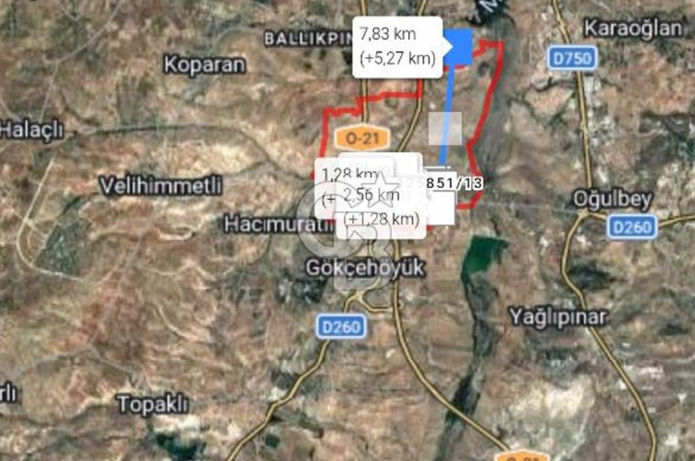 GÖLBAŞI YAVRUCUK MAHALLESİNDE TEK TAPOU 7491 M2 SATILIK TARLA